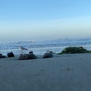 Meet your Posher, Kailah